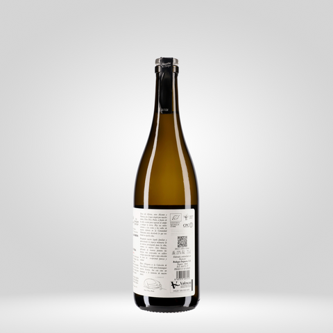 Blanc de Enguera Arroyo