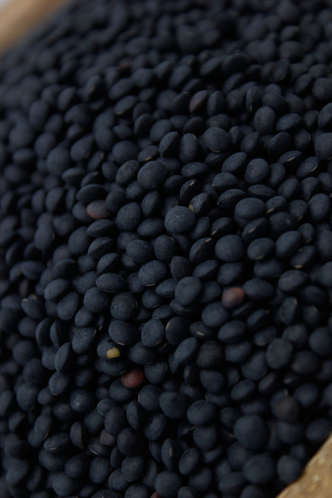 Lentil Caviar