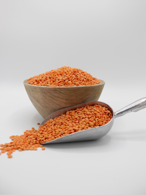 Red Lentil