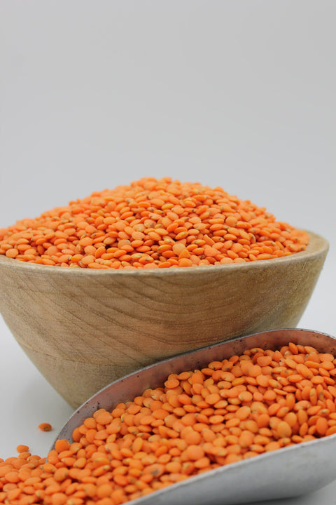 Red Lentil