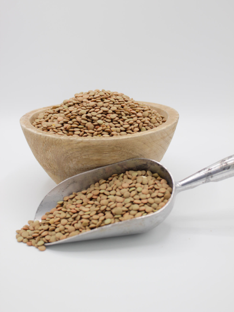 Extra Green Lentil